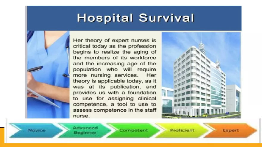 Benner’s Novice - Expert Nursing Theory - Page 9