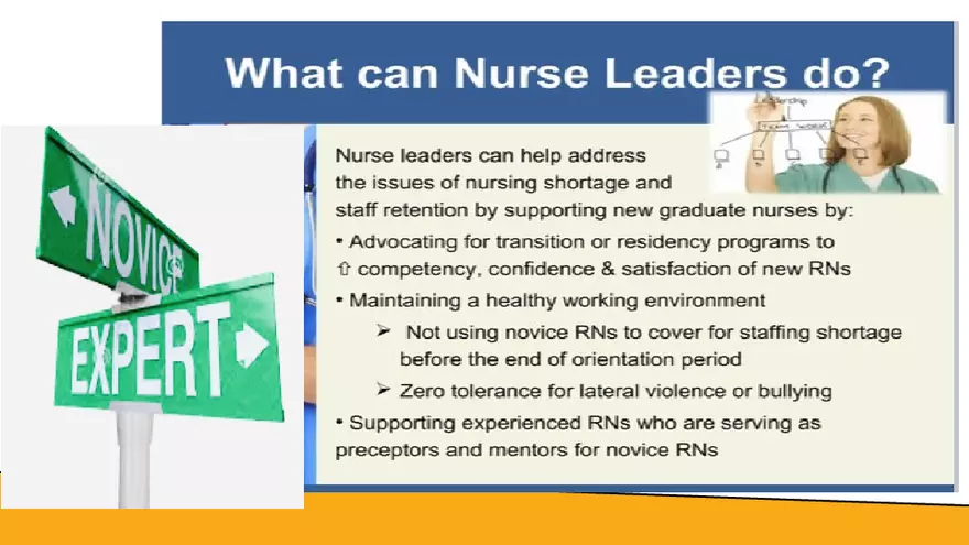 Benner’s Novice - Expert Nursing Theory - Page 10