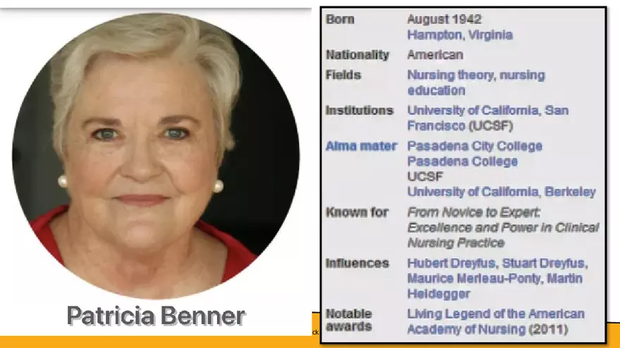 Benner’s Novice - Expert Nursing Theory - Page 12