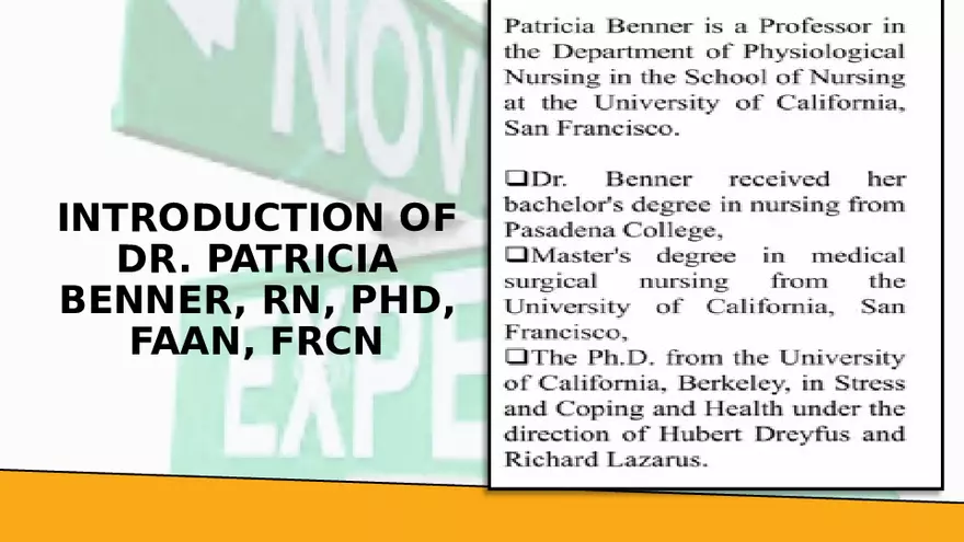 Benner’s Novice - Expert Nursing Theory - Page 13