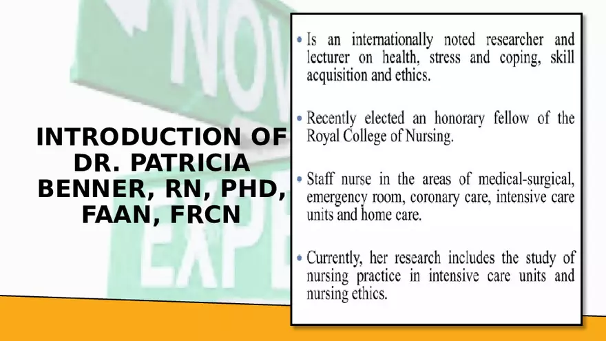 Benner’s Novice - Expert Nursing Theory - Page 14