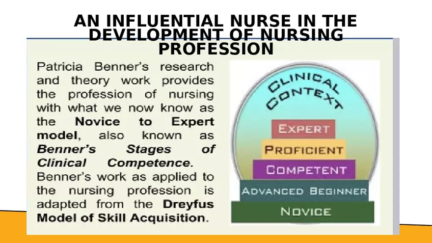 Benner’s Novice - Expert Nursing Theory - Page 16