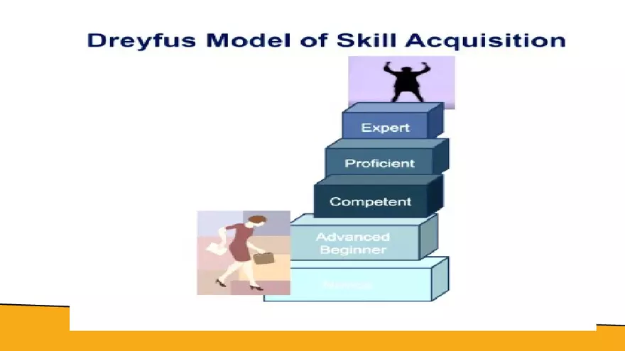 Benner’s Novice - Expert Nursing Theory - Page 17