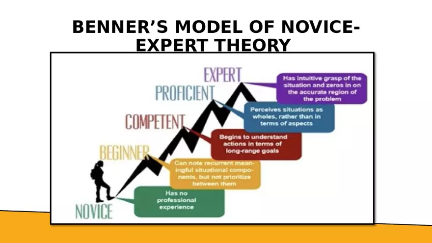 Benner’s Novice - Expert Nursing Theory - Page 19
