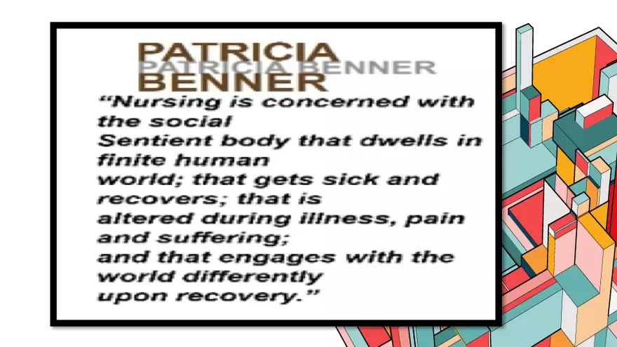 Benner’s Novice - Expert Nursing Theory - Page 2