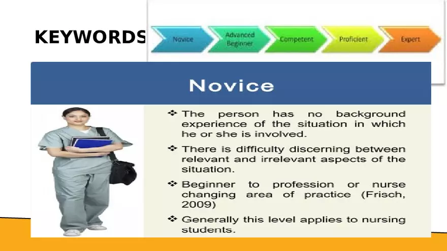 Benner’s Novice - Expert Nursing Theory - Page 3