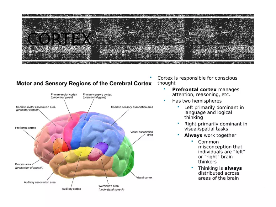Chapter 2 Cognitive and Linguistic Development - Page 7