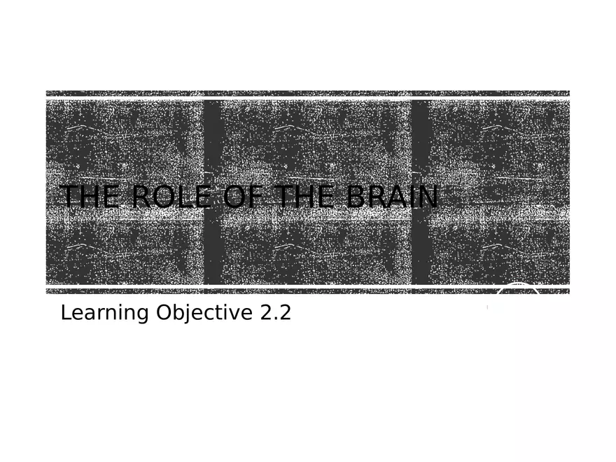 Chapter 2 Cognitive and Linguistic Development - Page 3