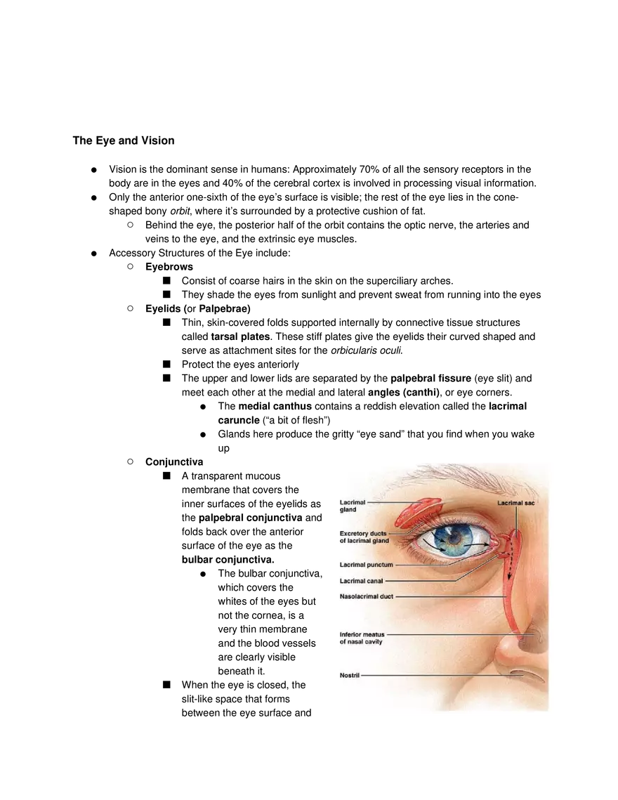 Special Senses Lecture - Page 5