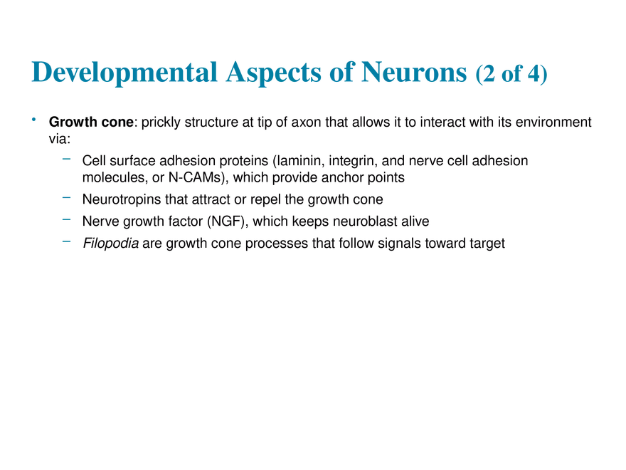 11.10 Neural Integration - Page 7