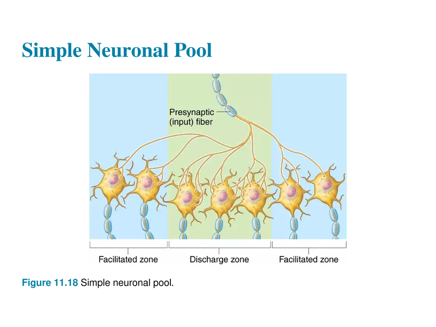 11.10 Neural Integration - Page 12