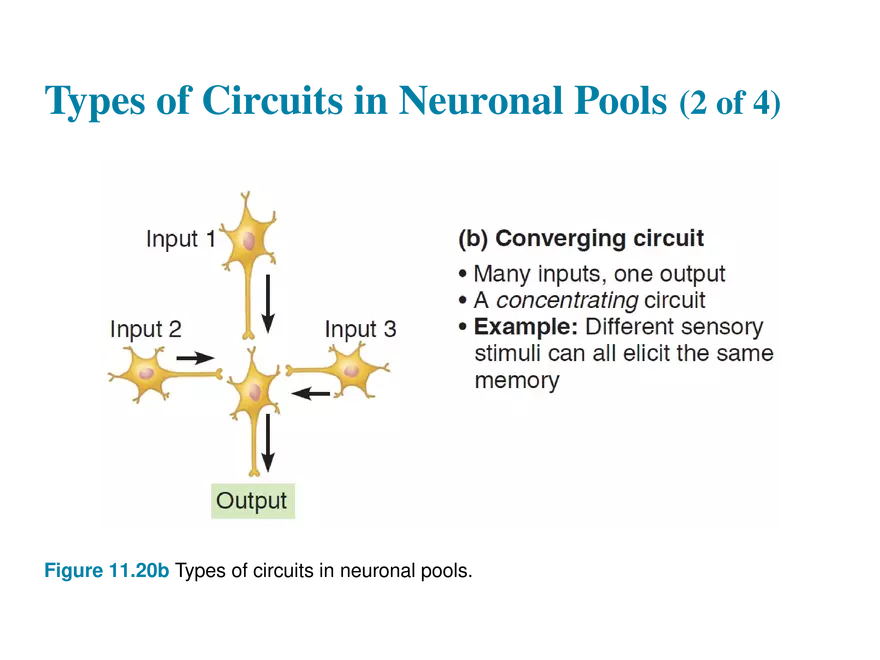 11.10 Neural Integration - Page 3