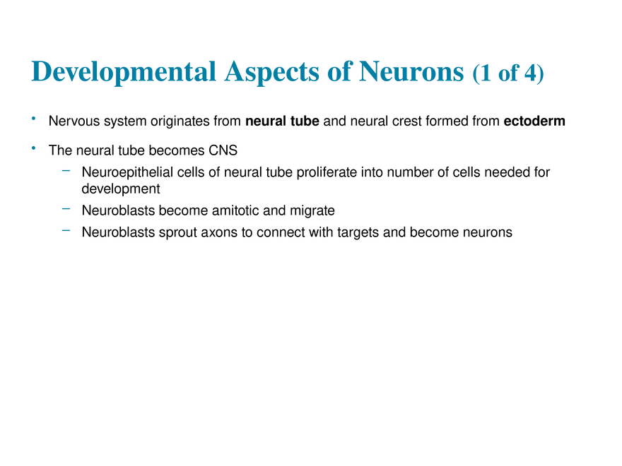 11.10 Neural Integration - Page 6