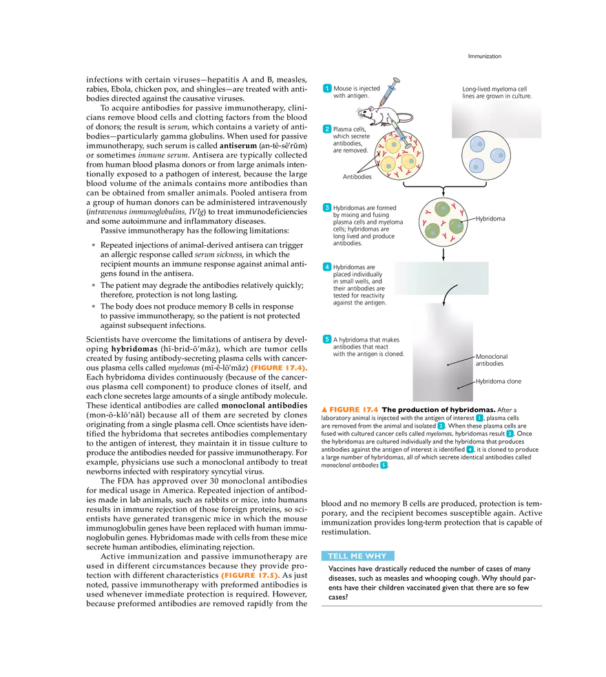 Immunization and Immune Testing - Page 19