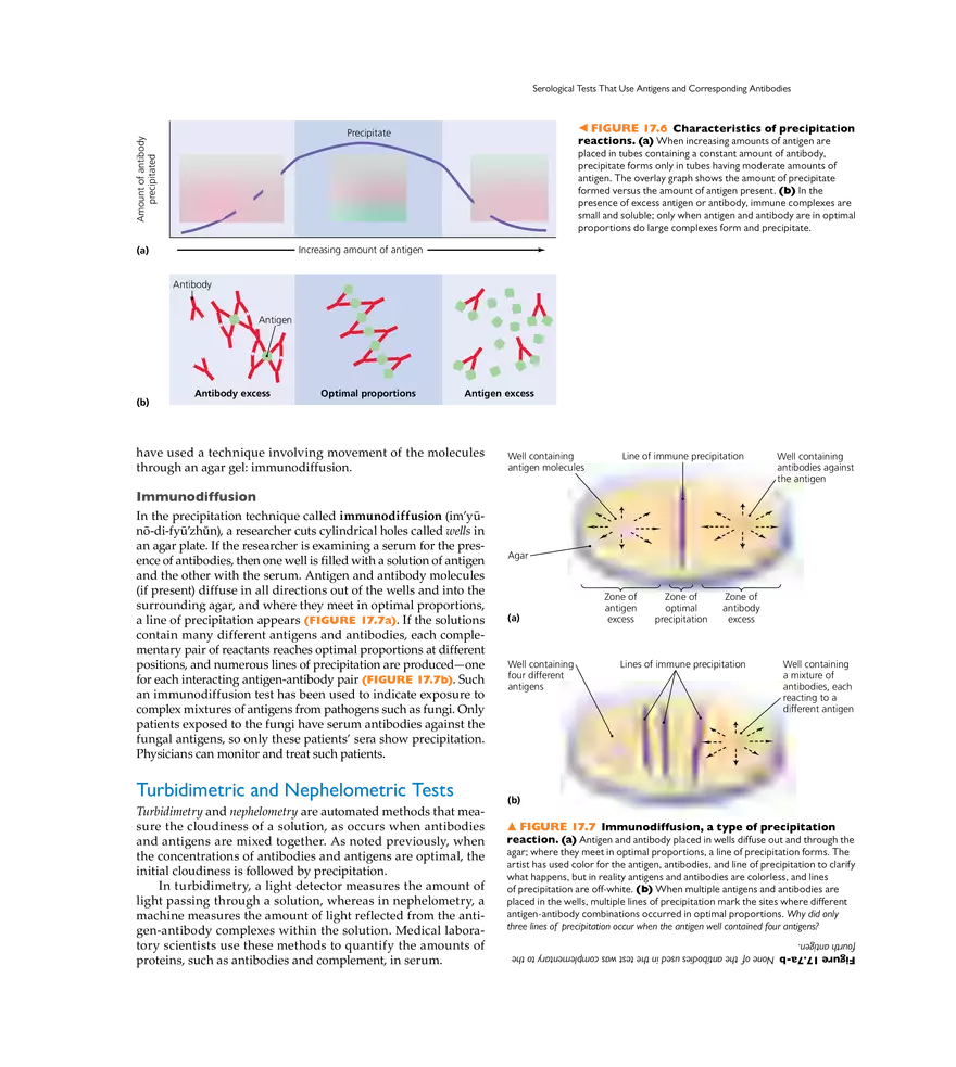 Immunization and Immune Testing - Page 21