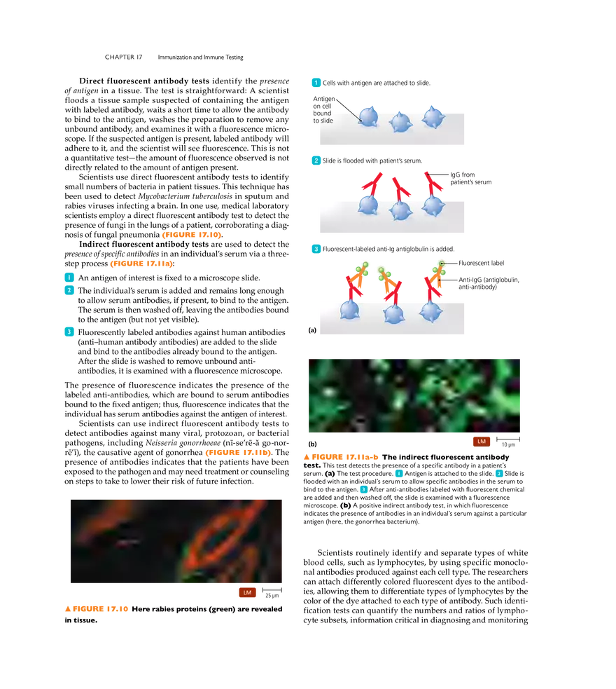 Immunization and Immune Testing - Page 5