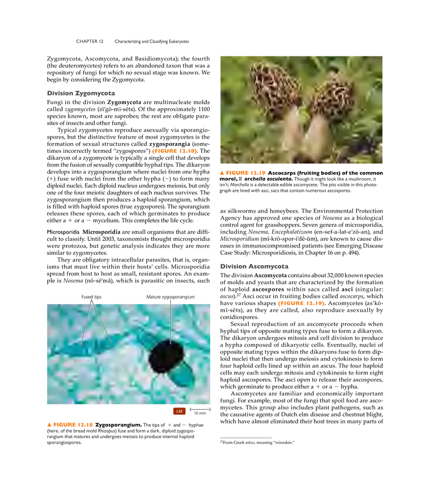 Characterizing and Classifying Eukaryotes - Page 8