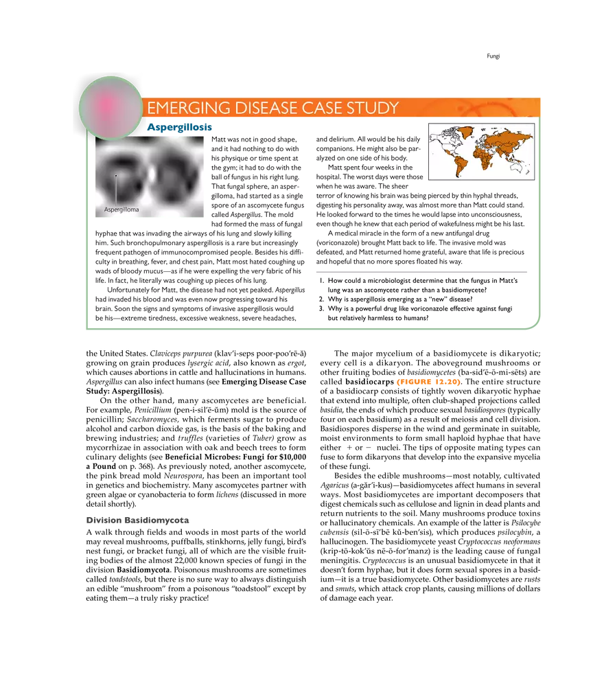 Characterizing and Classifying Eukaryotes - Page 9