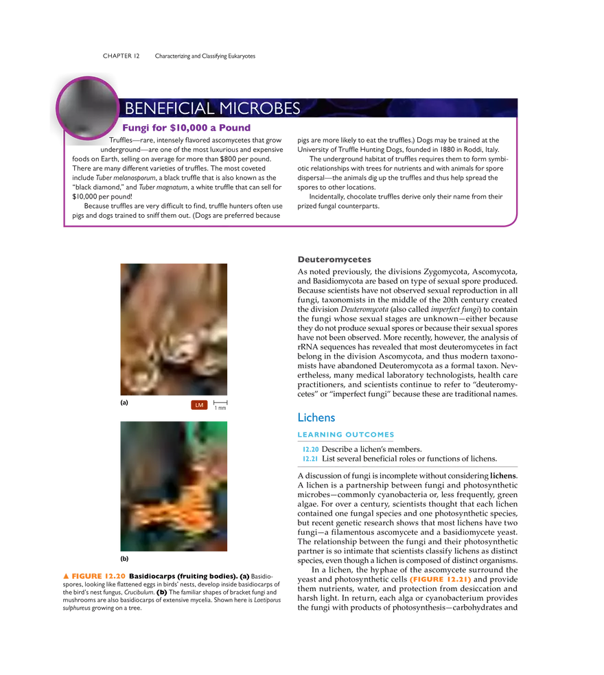 Characterizing and Classifying Eukaryotes - Page 10