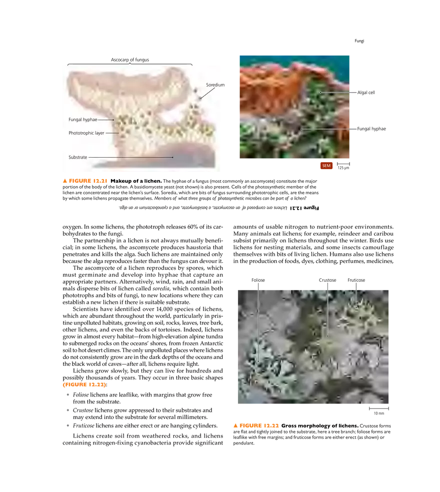 Characterizing and Classifying Eukaryotes - Page 11