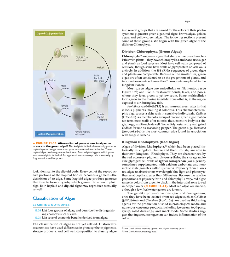 Characterizing and Classifying Eukaryotes - Page 14