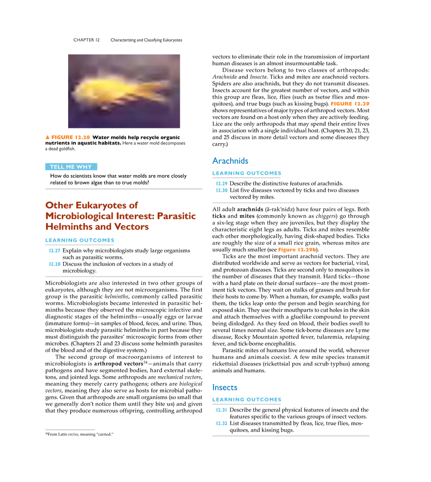 Characterizing and Classifying Eukaryotes - Page 17