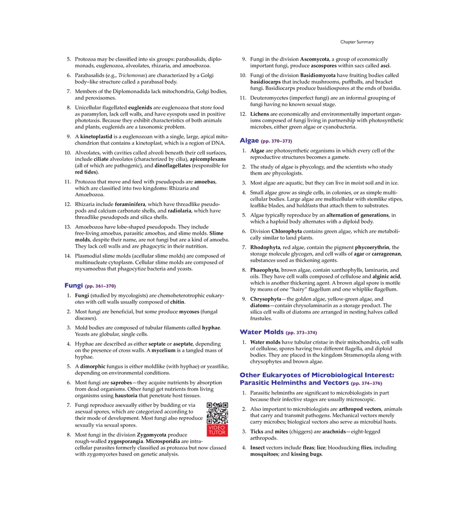 Characterizing and Classifying Eukaryotes - Page 20