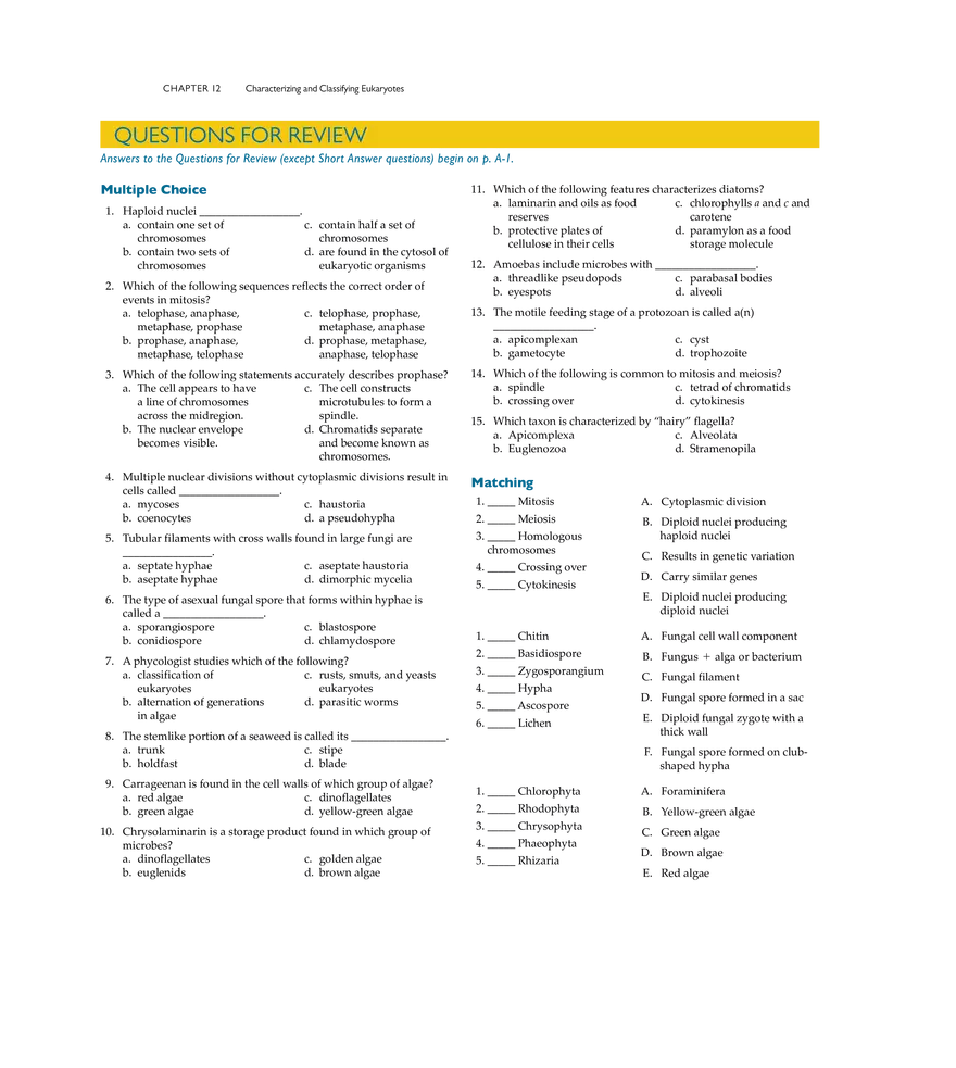 Characterizing and Classifying Eukaryotes - Page 21