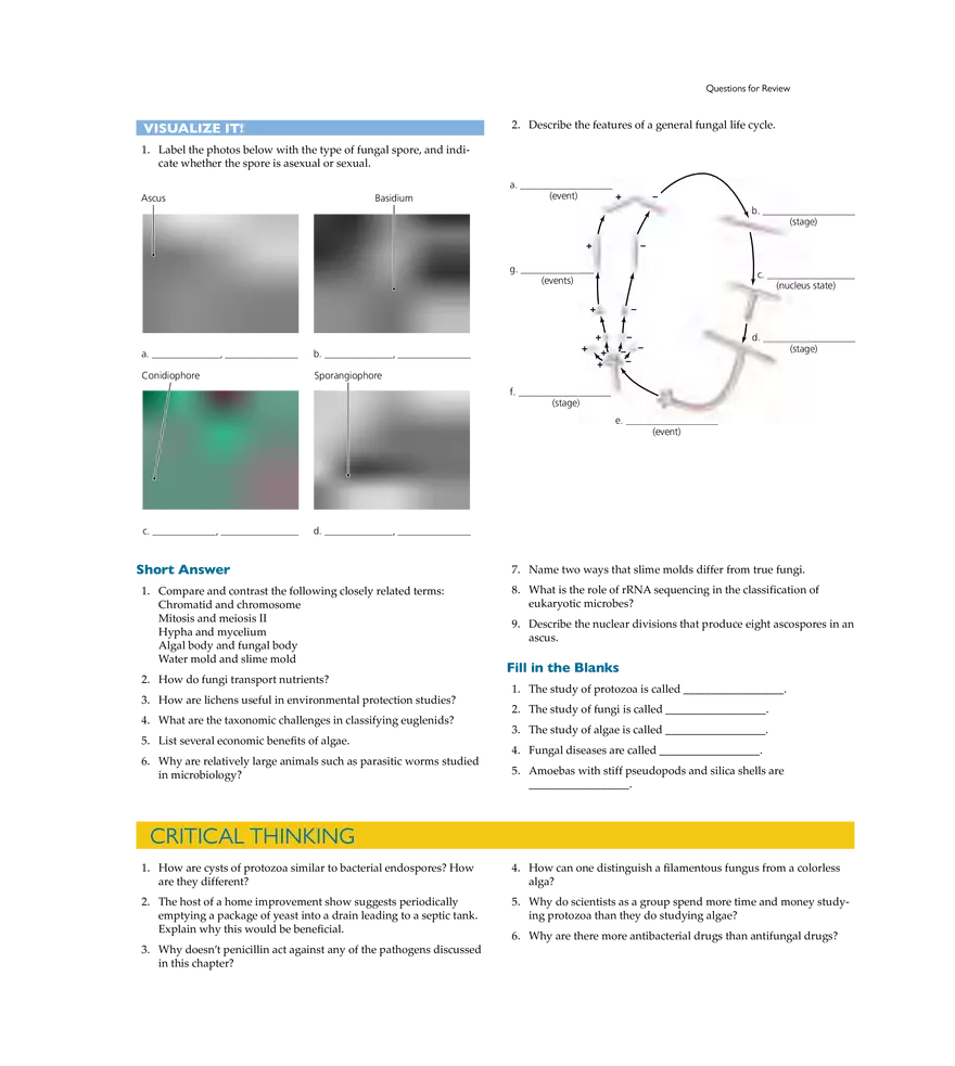 Characterizing and Classifying Eukaryotes - Page 22