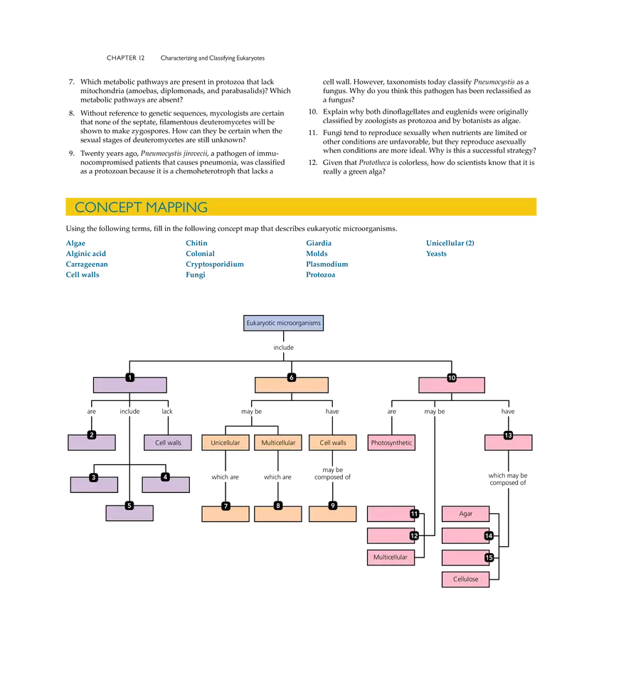 Characterizing and Classifying Eukaryotes - Page 23