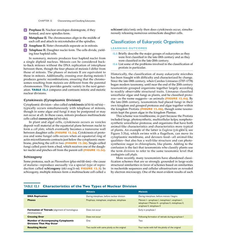 Characterizing and Classifying Eukaryotes - Page 24