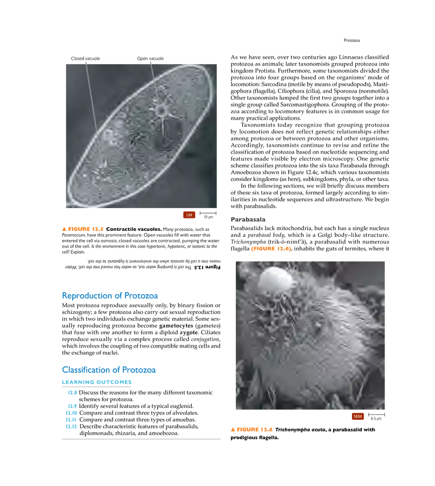 Characterizing and Classifying Eukaryotes - Page 27