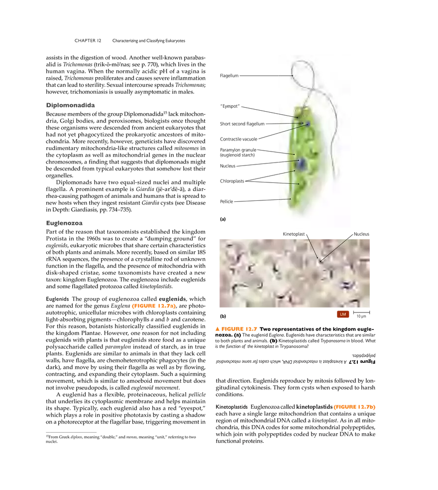 Characterizing and Classifying Eukaryotes - Page 28