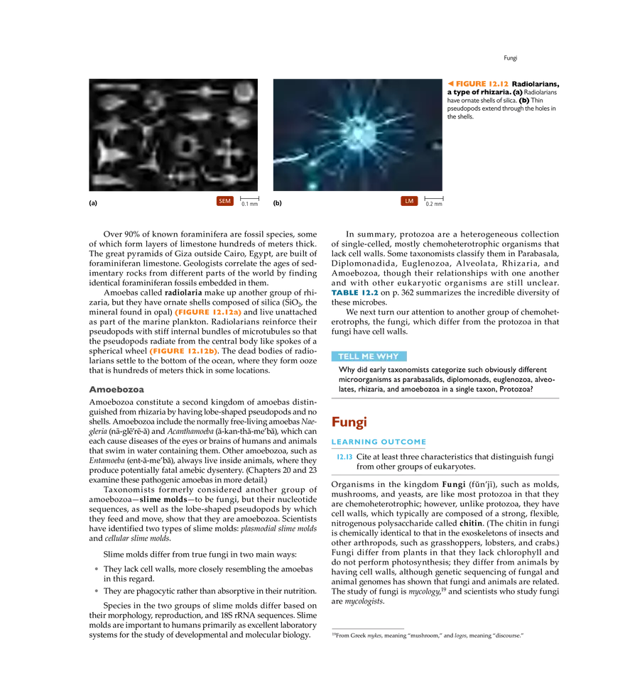 Characterizing and Classifying Eukaryotes - Page 3