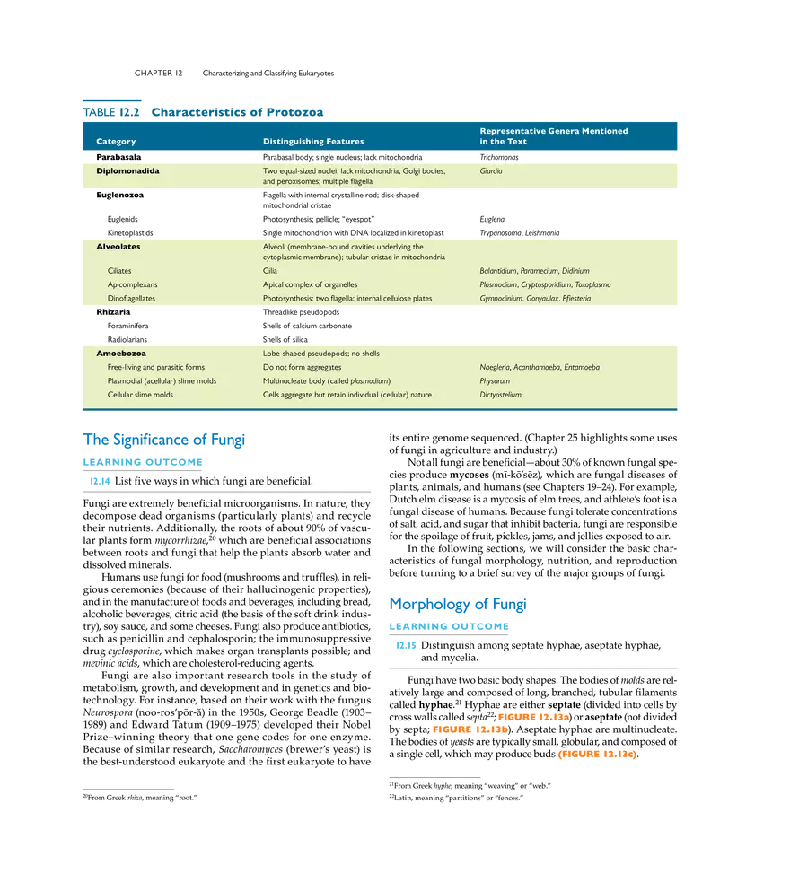 Characterizing and Classifying Eukaryotes - Page 4