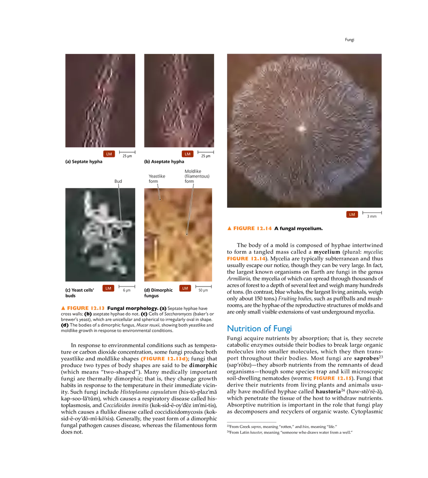 Characterizing and Classifying Eukaryotes - Page 5