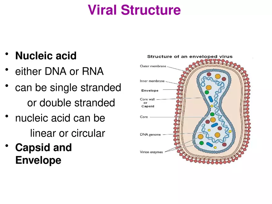 Characteristics of Virus - Page 3