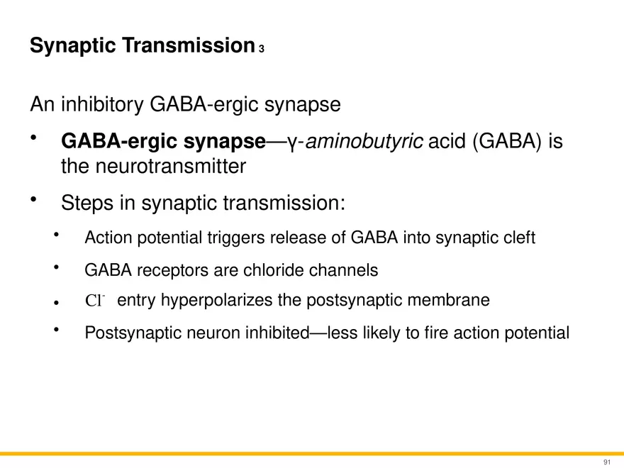 12.5 Synapses - Page 8