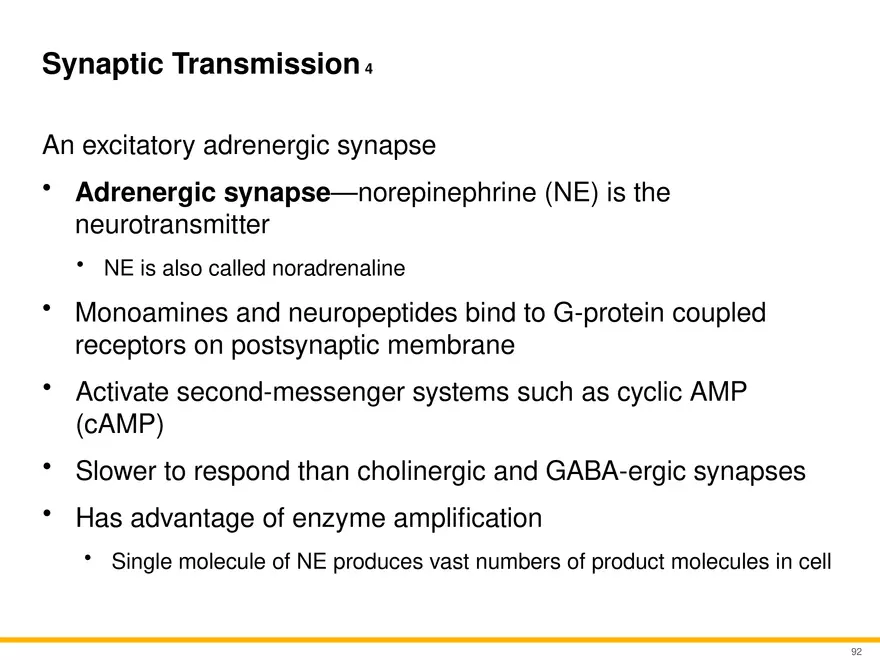 12.5 Synapses - Page 9