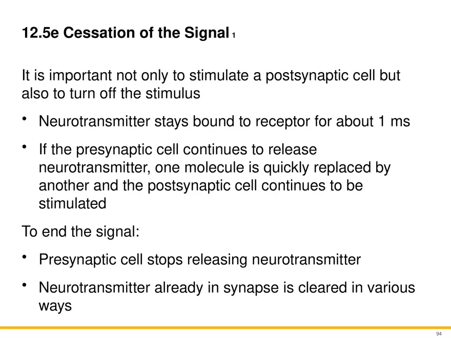 12.5 Synapses - Page 11