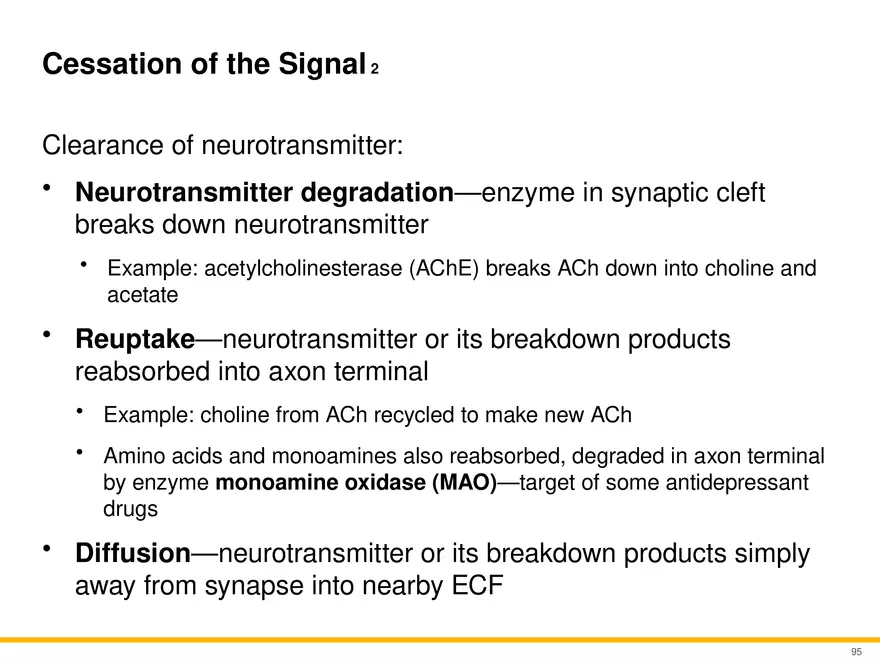 12.5 Synapses - Page 12