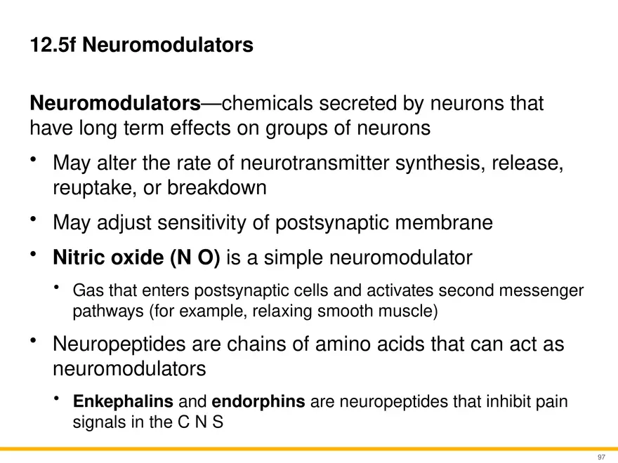 12.5 Synapses - Page 15