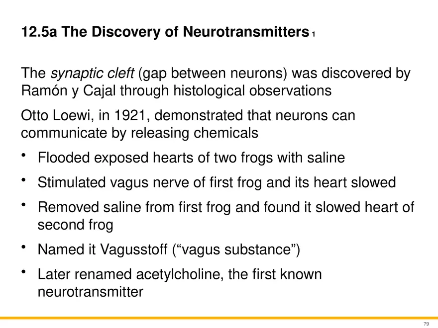 12.5 Synapses - Page 16