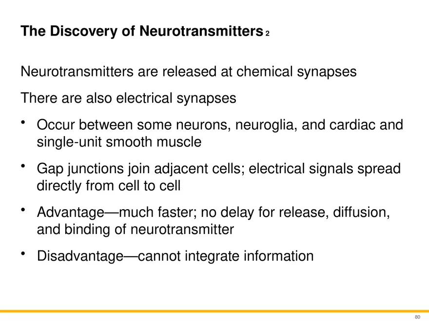 12.5 Synapses - Page 17