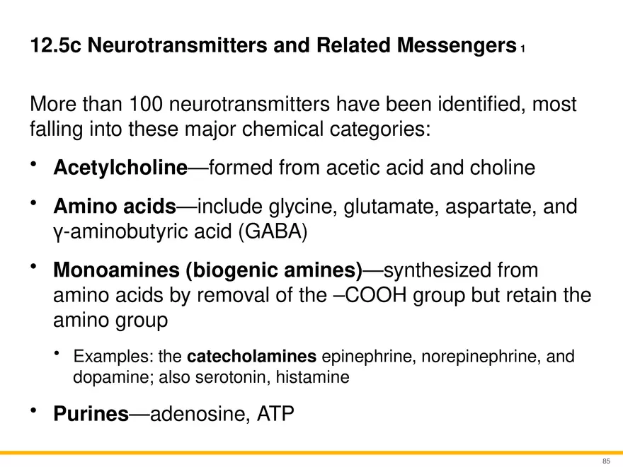 12.5 Synapses - Page 22