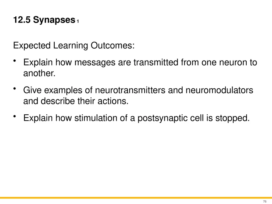 12.5 Synapses - Page 1