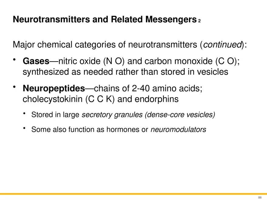 12.5 Synapses - Page 3