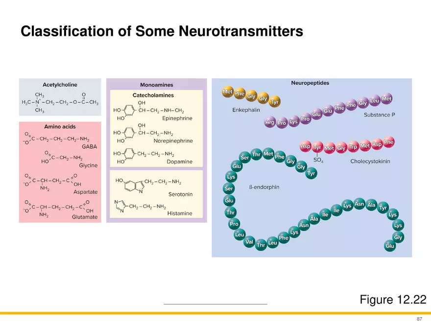 12.5 Synapses - Page 4