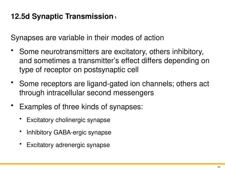 12.5 Synapses - Page 5