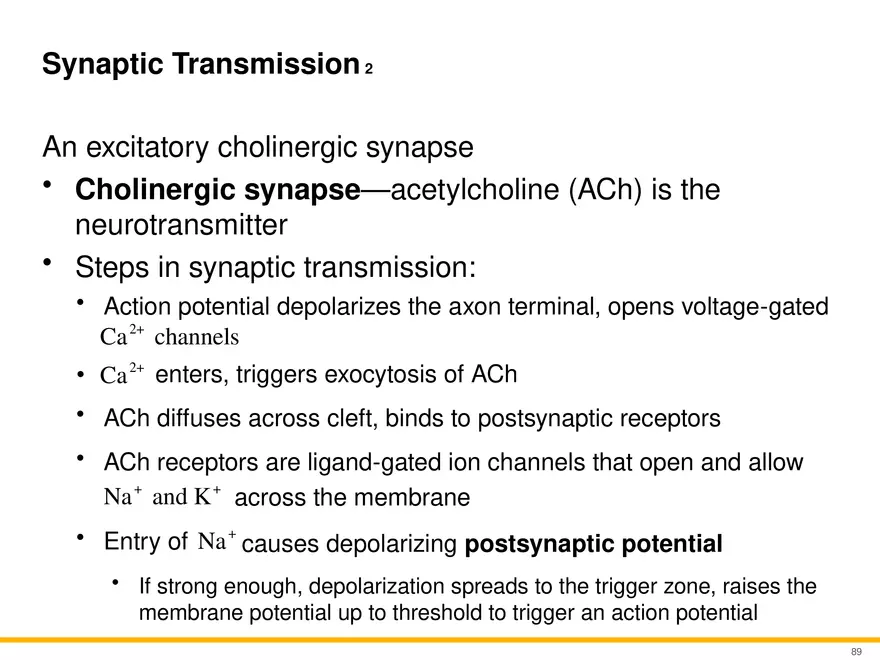 12.5 Synapses - Page 6